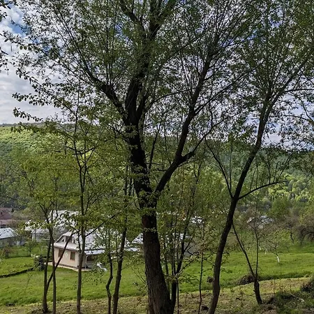 Sheshory Chalet